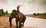 150_150_Elephant-008.png